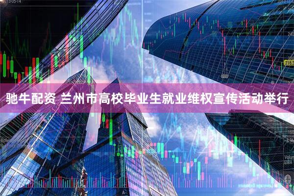 驰牛配资 兰州市高校毕业生就业维权宣传活动举行
