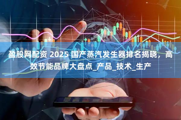 盈股网配资 2025 国产蒸汽发生器排名揭晓，高效节能品牌大盘点_产品_技术_生产