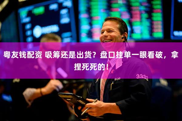 粤友钱配资 吸筹还是出货？盘口挂单一眼看破，拿捏死死的！
