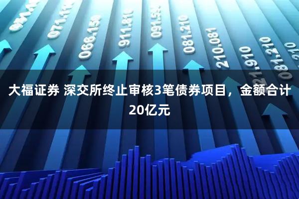 大福证券 深交所终止审核3笔债券项目,金额合计20亿元